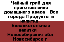 Чайный гриб для приготовления домашнего кваса - Все города Продукты и напитки » Безалкогольные напитки   . Новосибирская обл.,Новосибирск г.